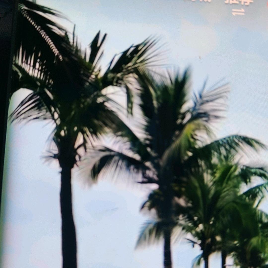 赵老头头像