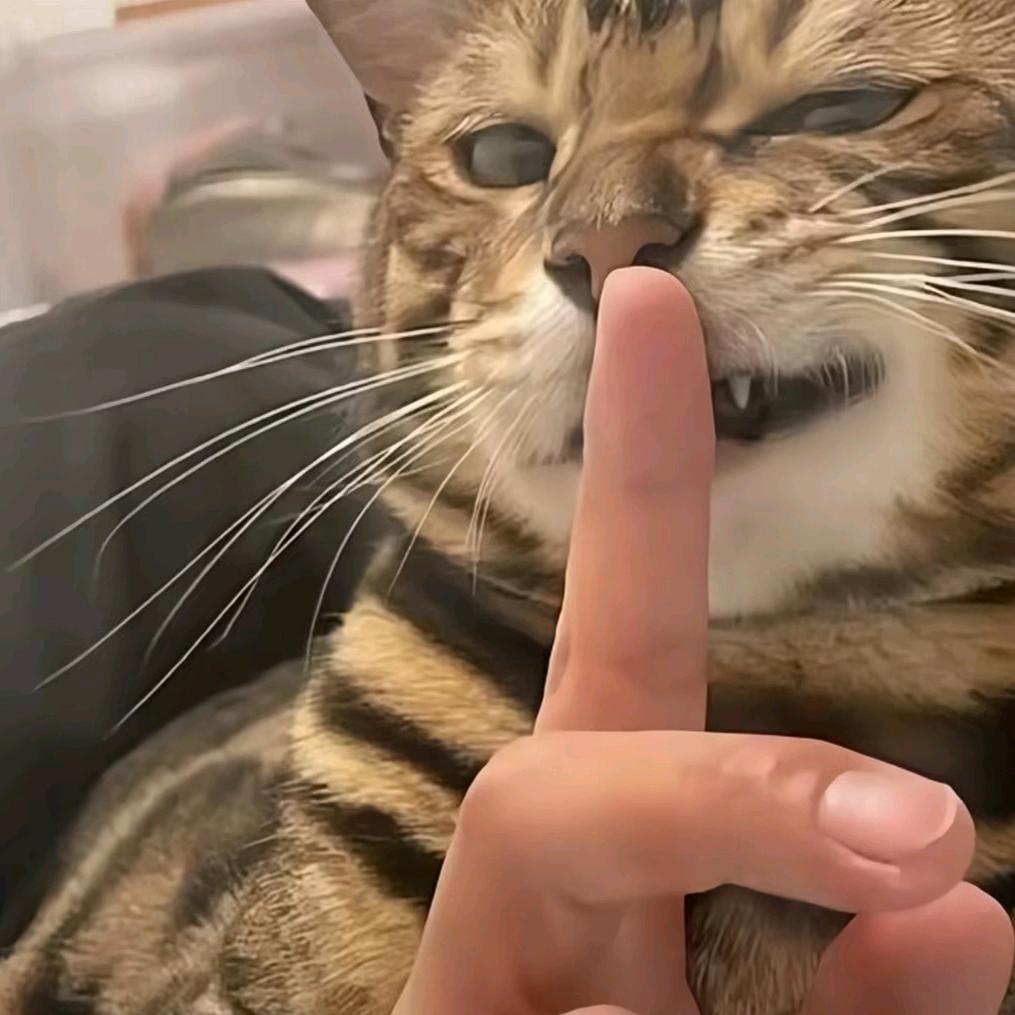 九思卿