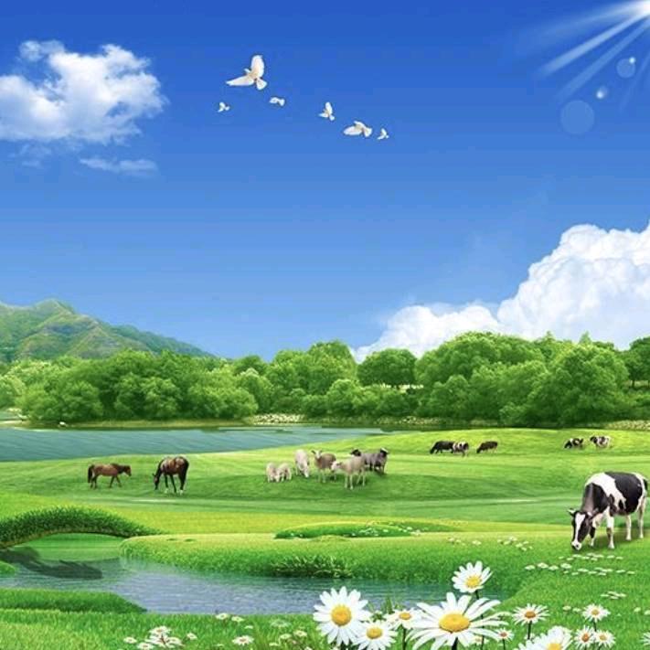 紫气东来🦚
