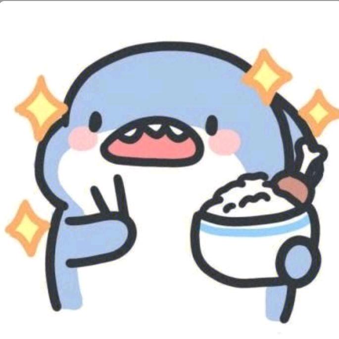 小鲨鱼的开车记录