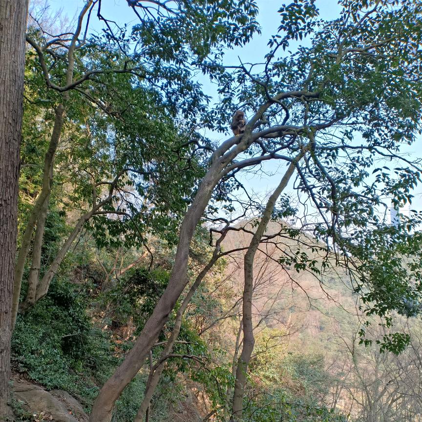 中国商贸（集结号）