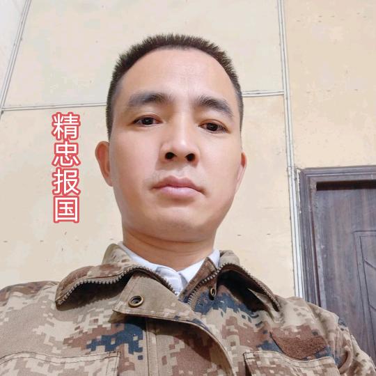 精忠报国