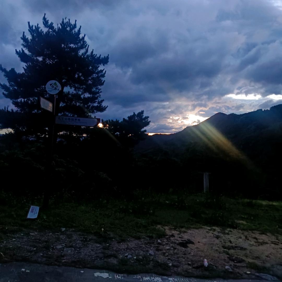 是余非鱼