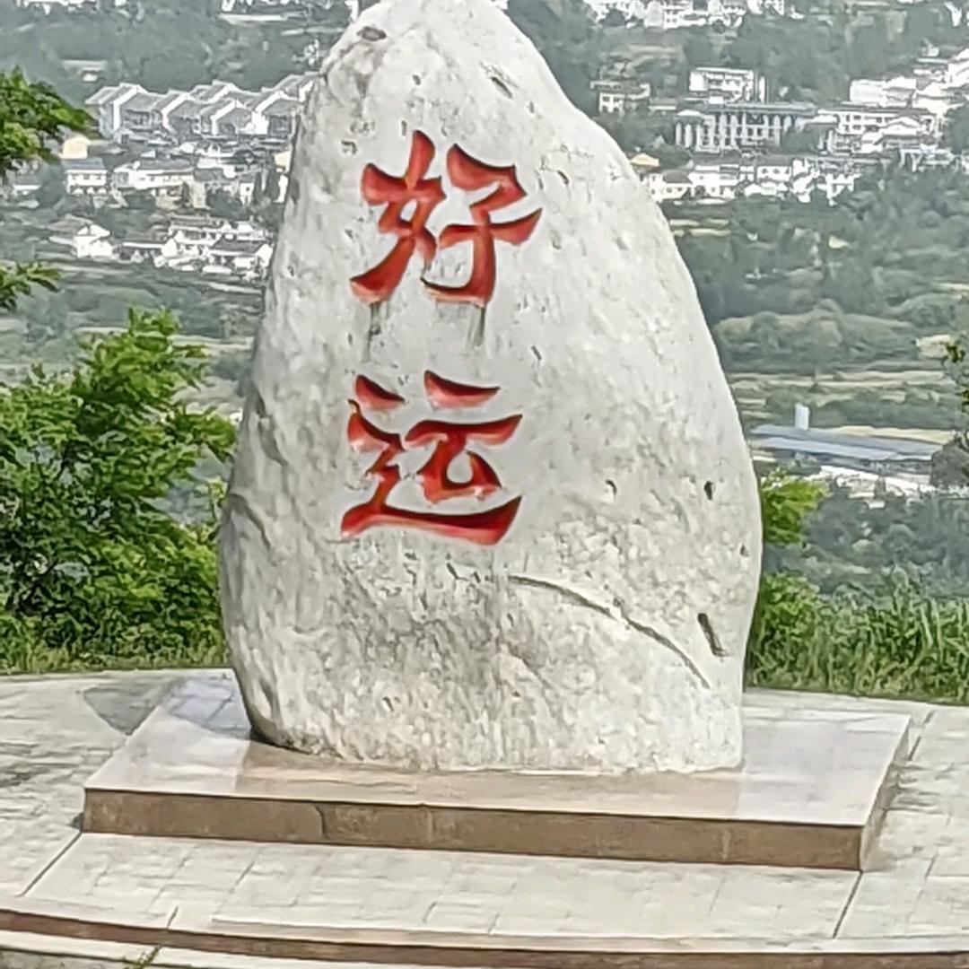 鸿运当头照