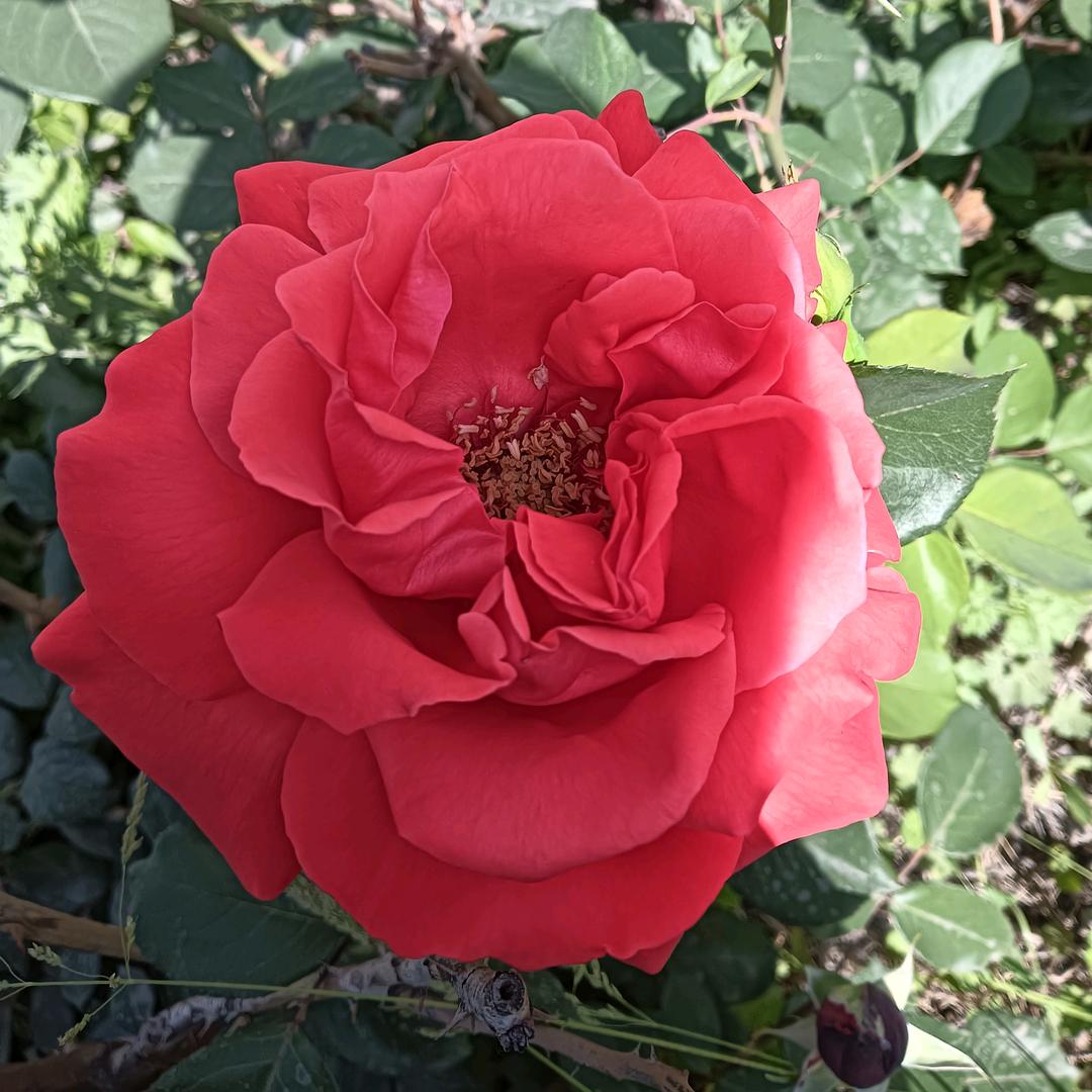 手机用户64063507339快乐美一天