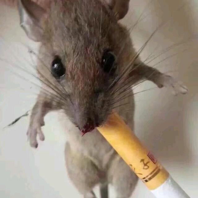我不主动。我们怎会有故事