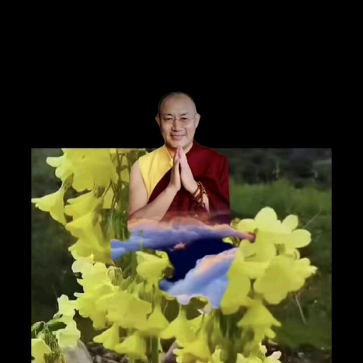 泽拉