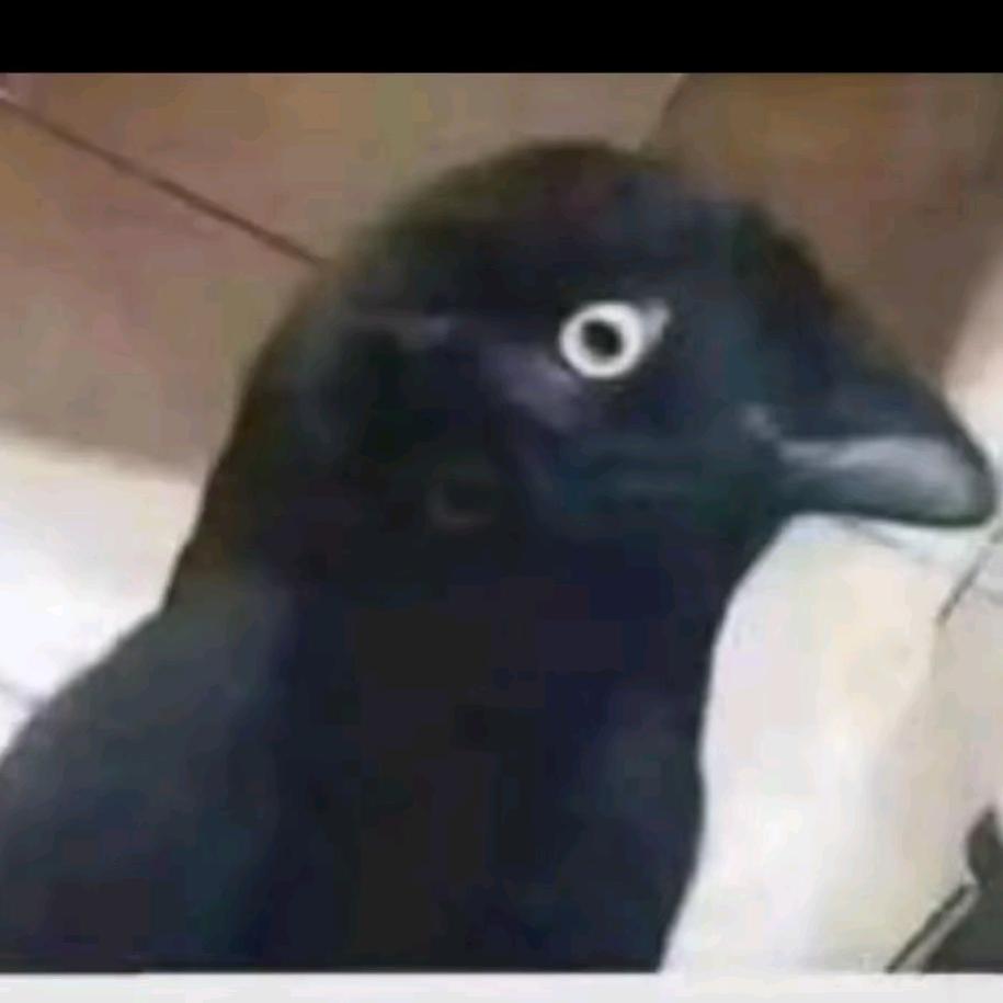 369