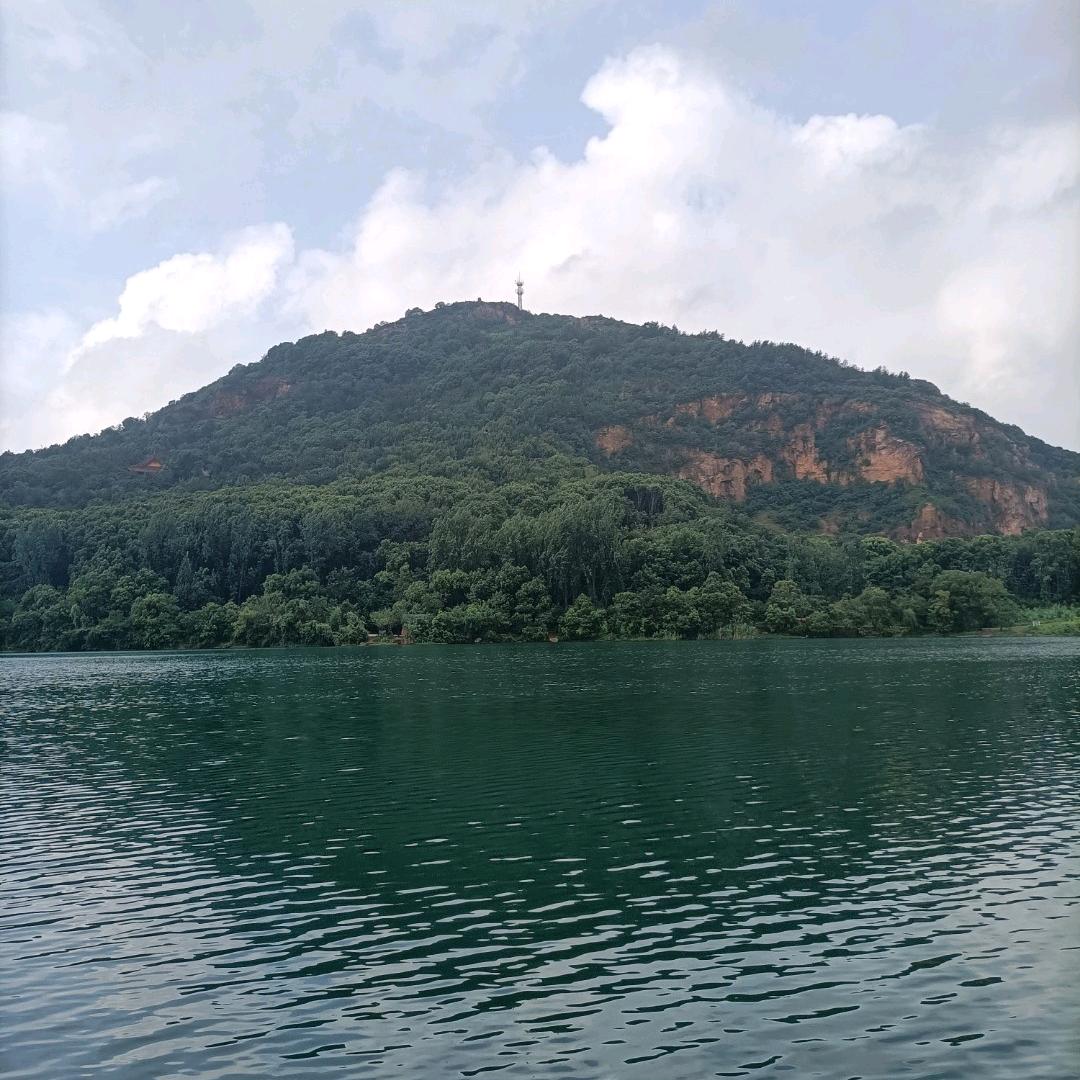 豫建刘总
