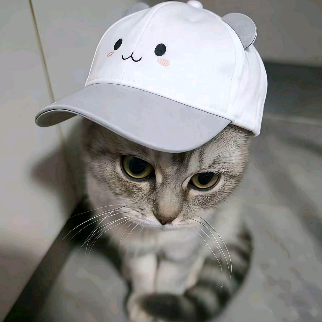"내头像