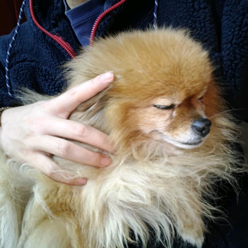 大火