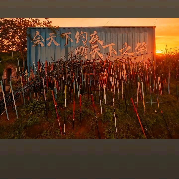 从不打龟的钓鱼佬 （从不严败的钓鱼佬）