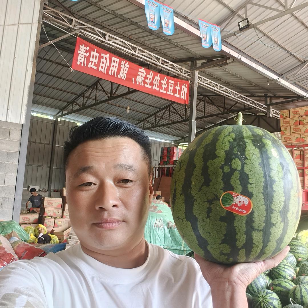 聊城美蔬达农业科技有限公司