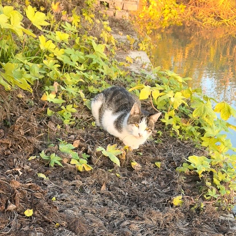 骑着毛驴去钓鱼