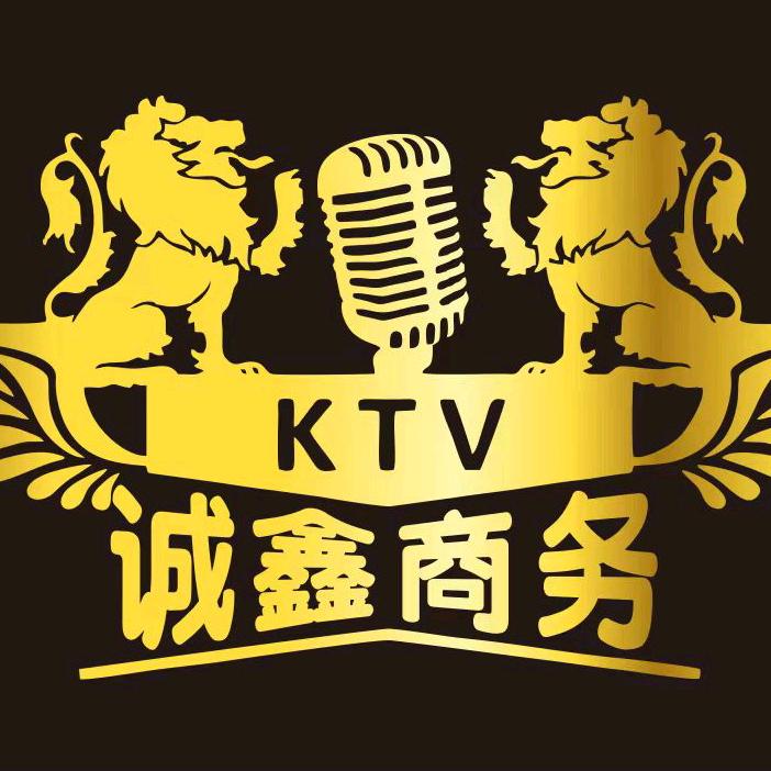 诚鑫商务Party K