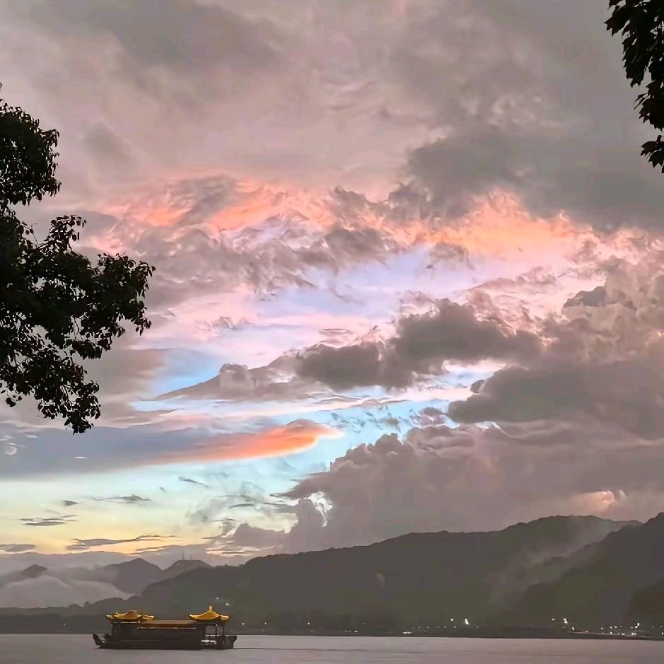 🌈财神爷的心尖尖