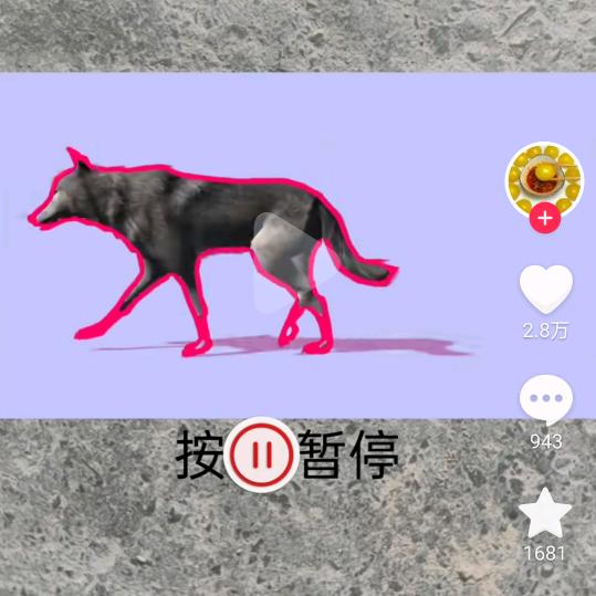 放羊🐏🐏🐏🐏