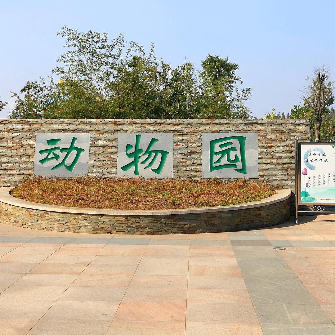 动物园