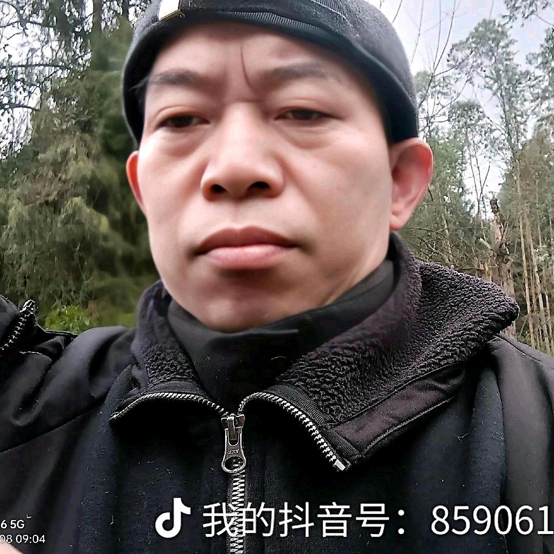 安逸叶子9a8。