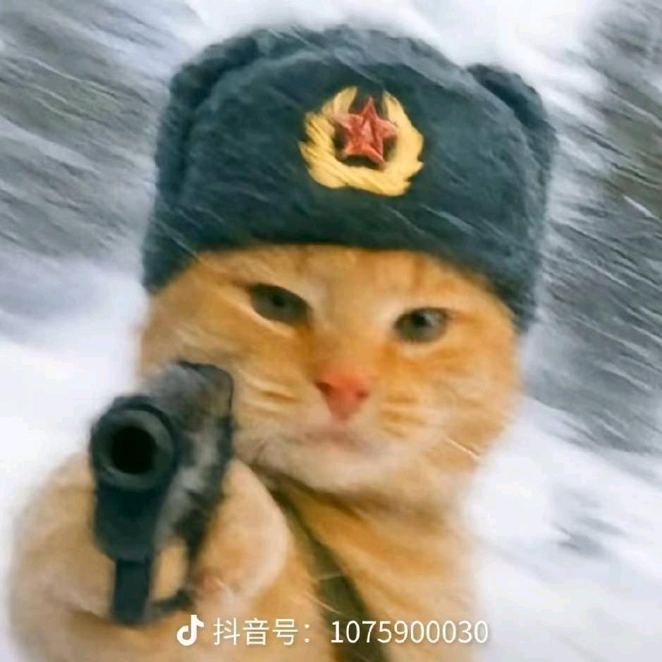 AAA三角洲鼠鼠大王