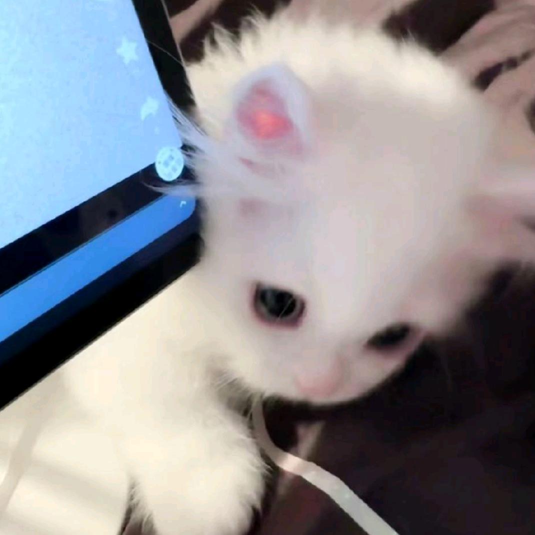 江离