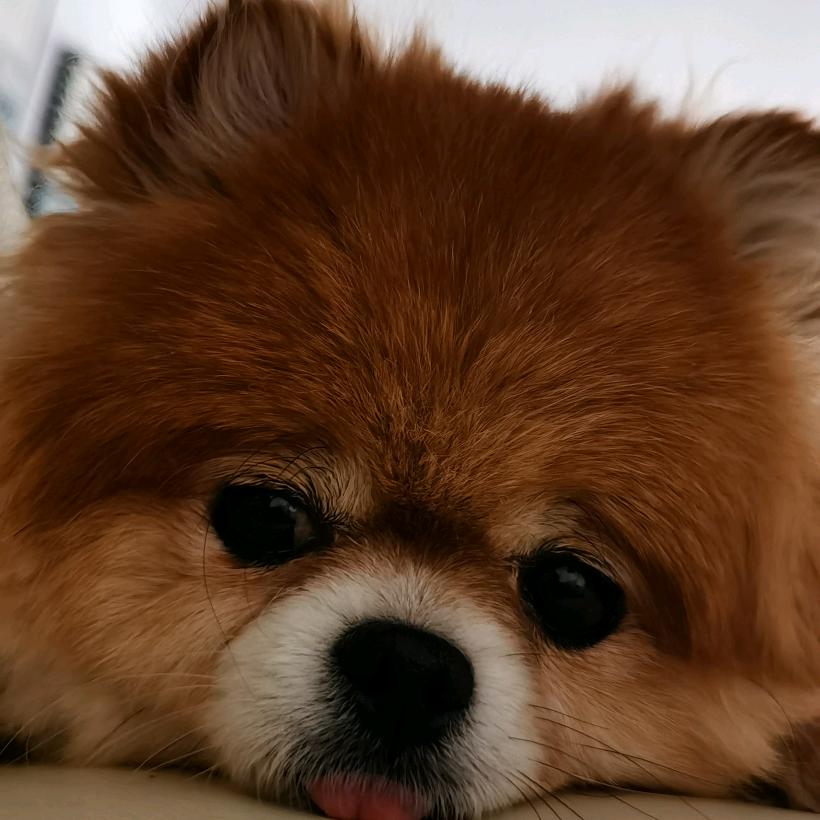 💝那颗糖💞
