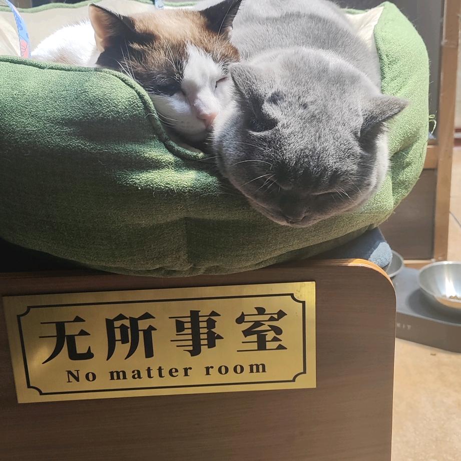 阿巴阿巴東
