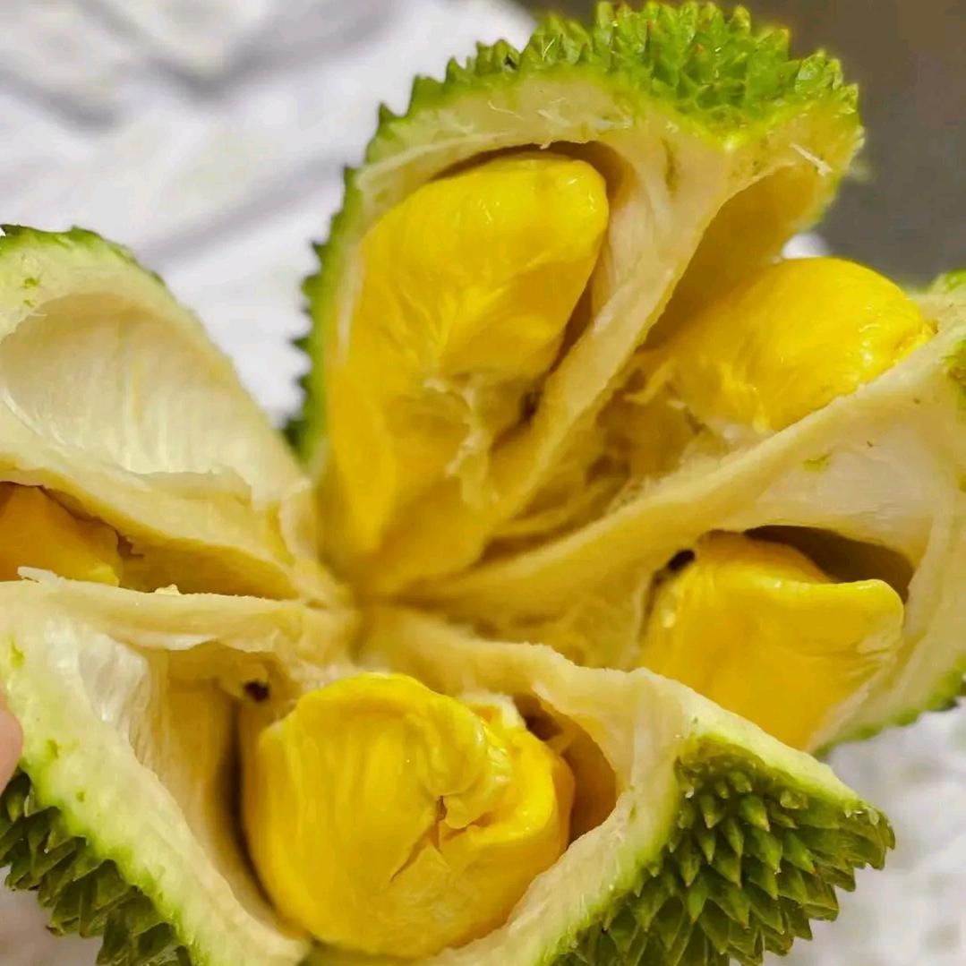 榴莲哥超级水果批发行