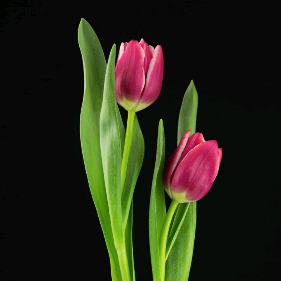 平南～小蓝哥🎙🇨🇳