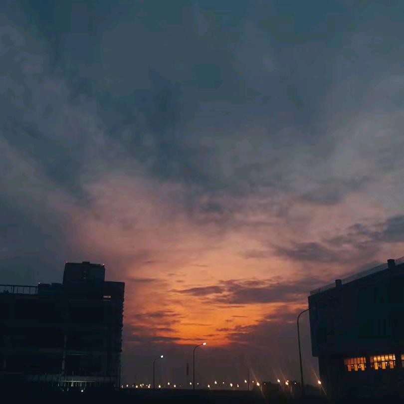 桃园-老牛