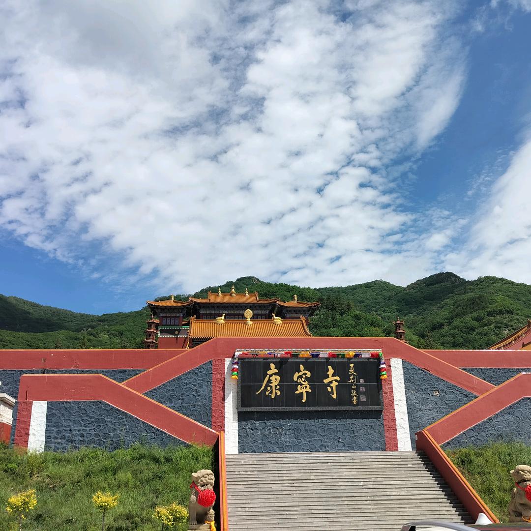 脑残中的恋爱脑，