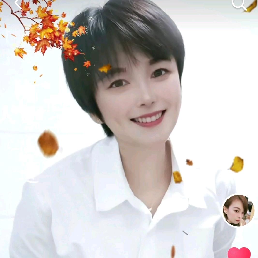 淡如清风