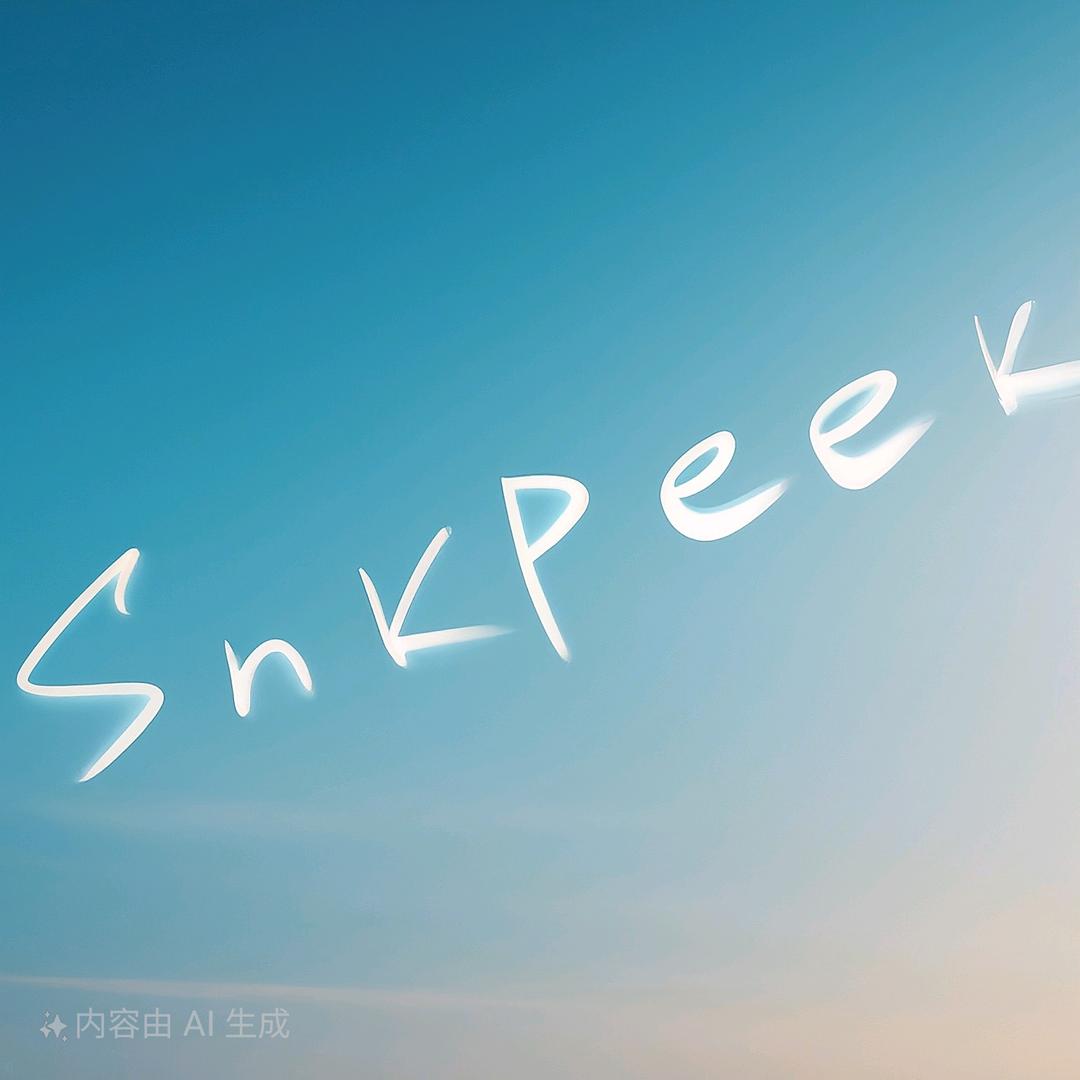 Snkpeek中古球鞋