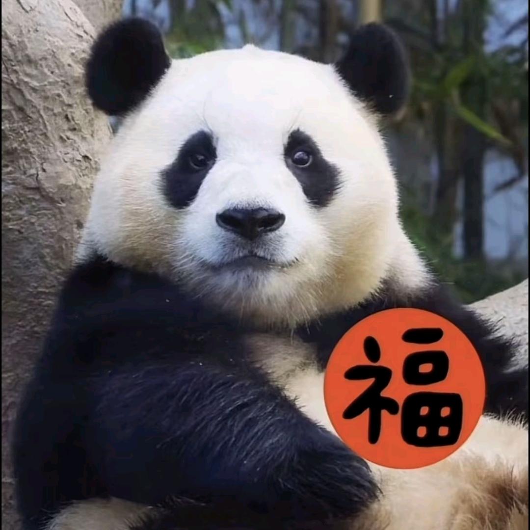 福乐多
