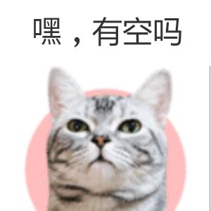 $杨你壹辈子&
