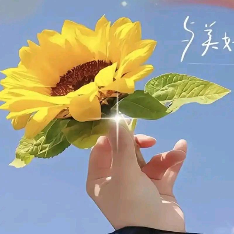 ღ᭄沫💖忆🕊꧔ꦿ᭄?