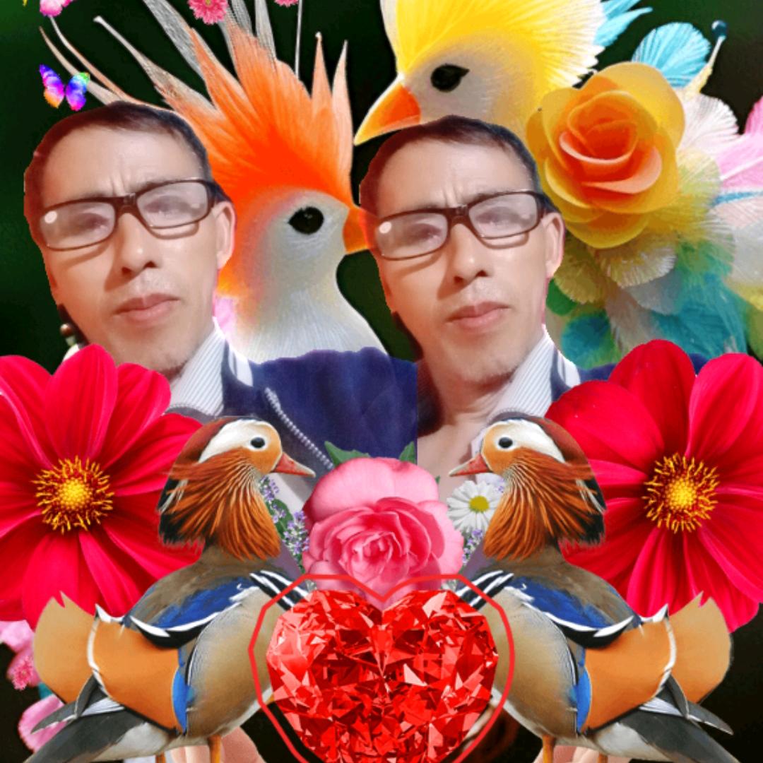 心想是您🌹单身不定时开播😄谢唱歌的✊
