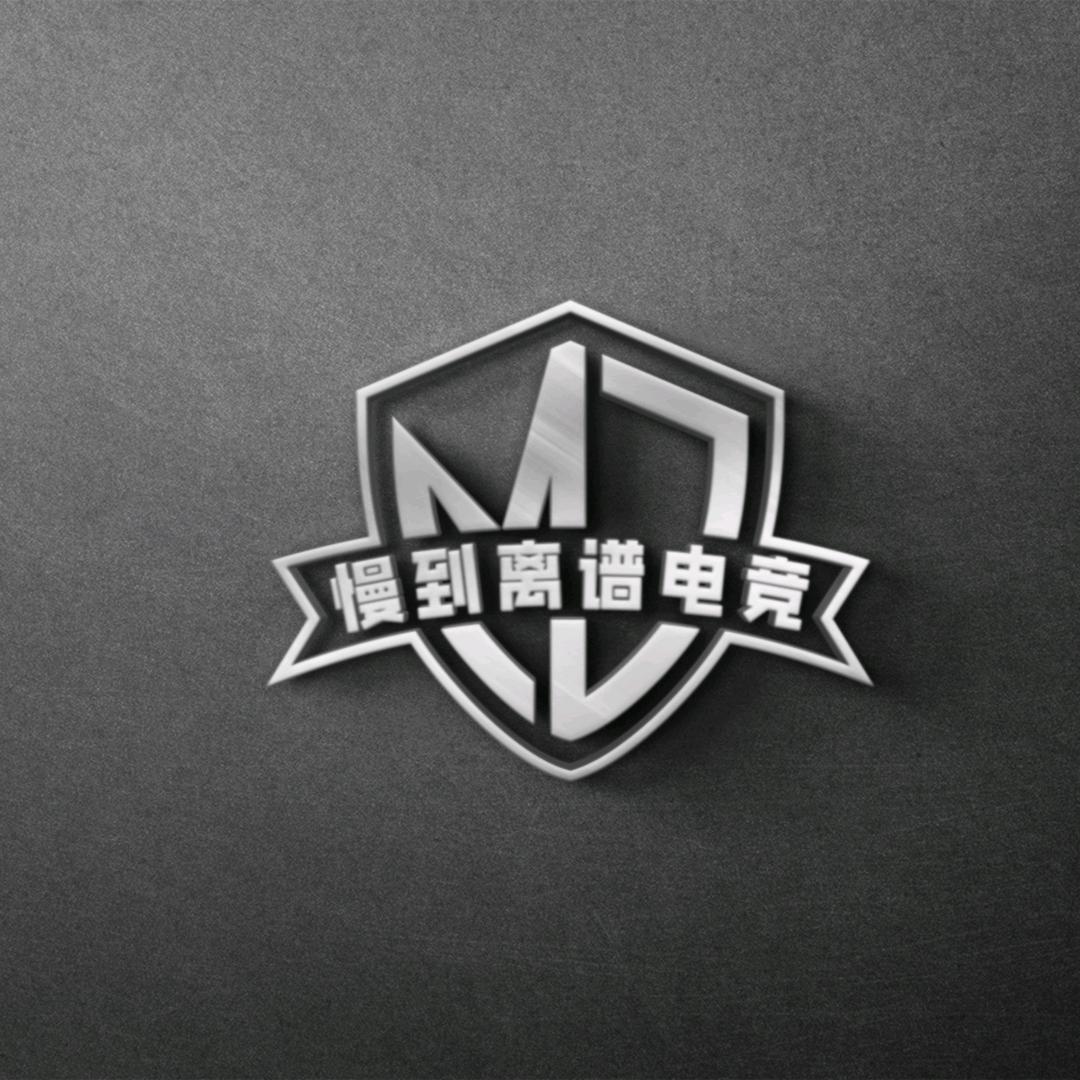 慢到离谱电竞（护航）