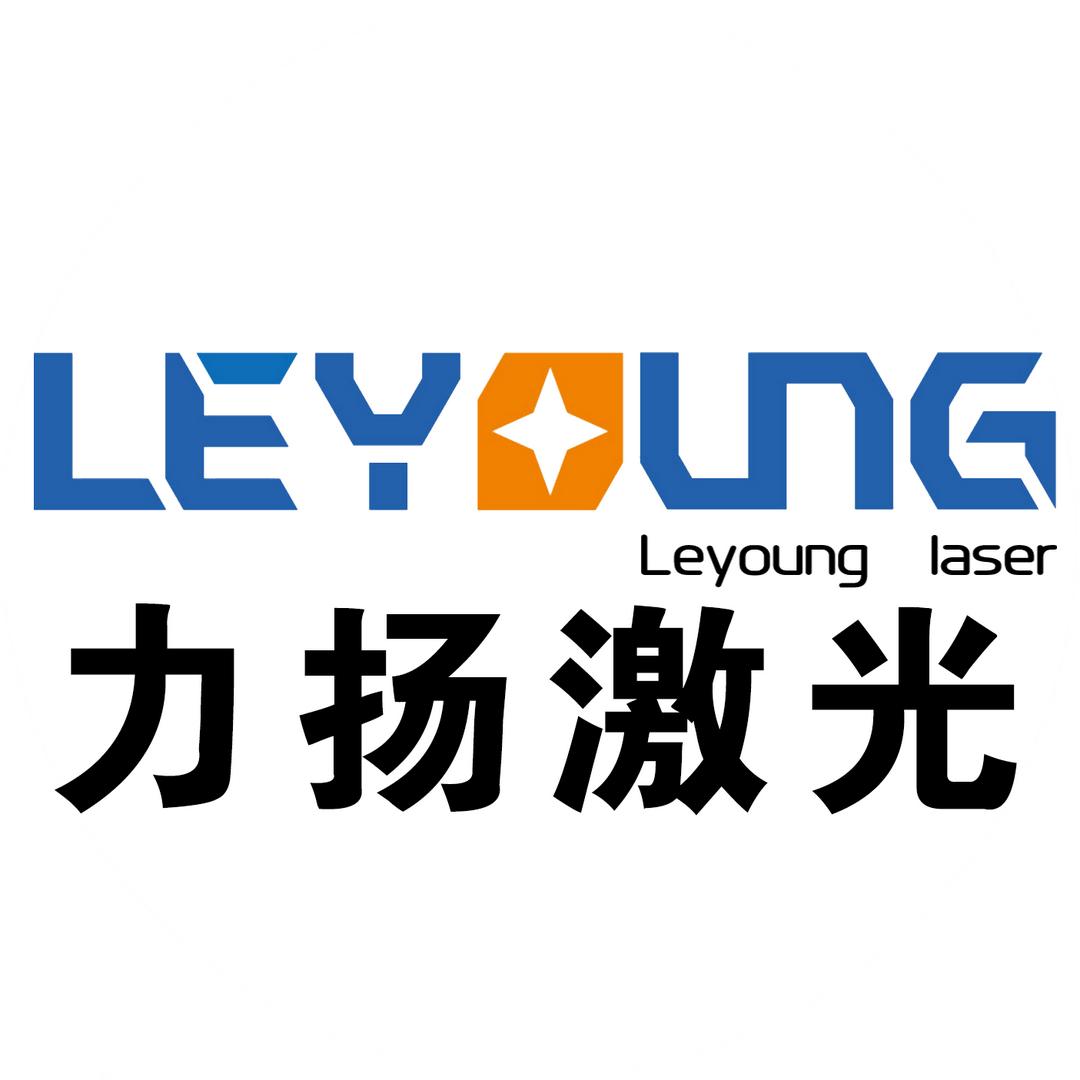 无锡力扬激光，大功率激光切割机手持激光