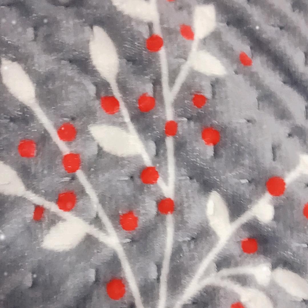 快乐的一天