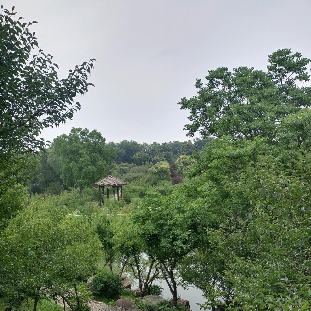 又是九月九