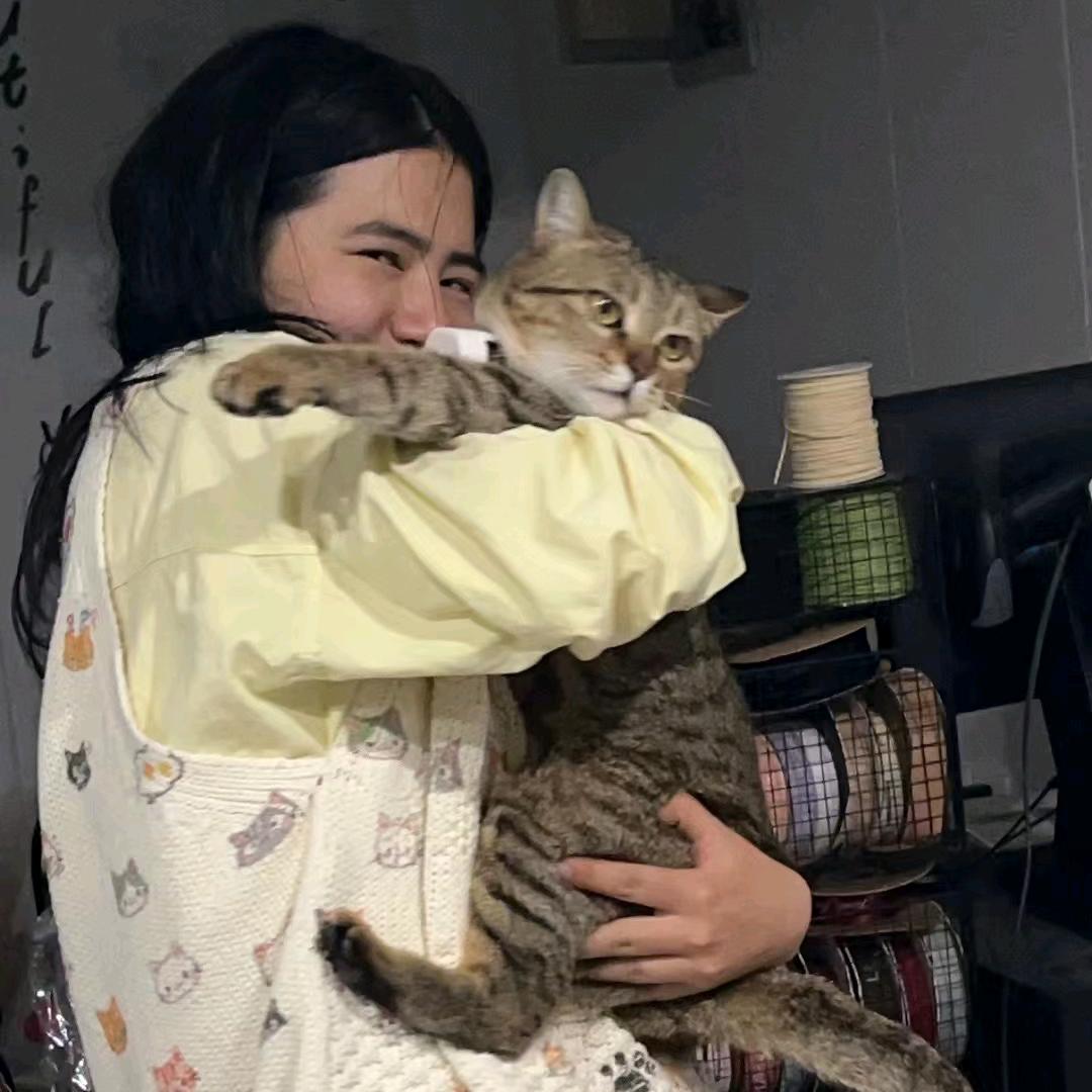 黑梨是只狸花猫