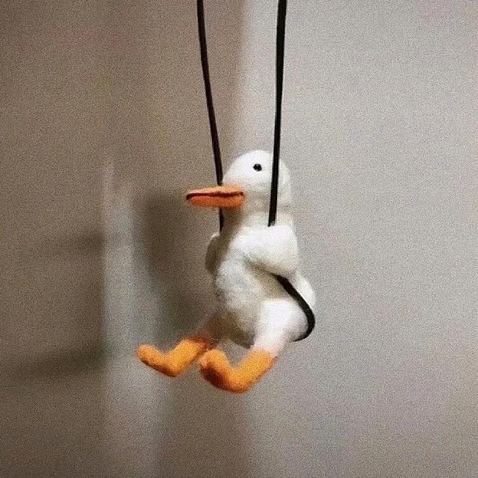 大奶兔