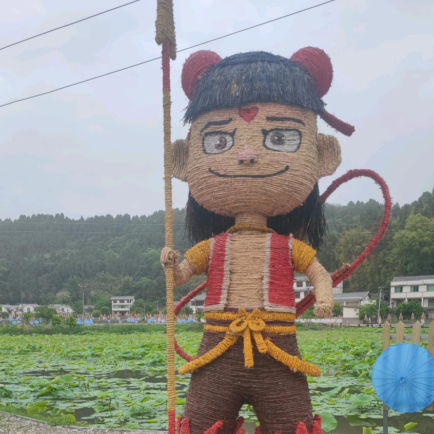 阿阿柒