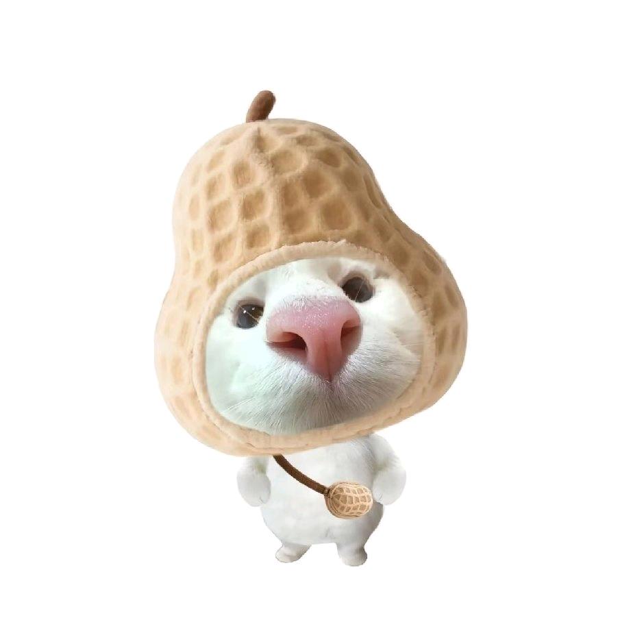 瑞瑞