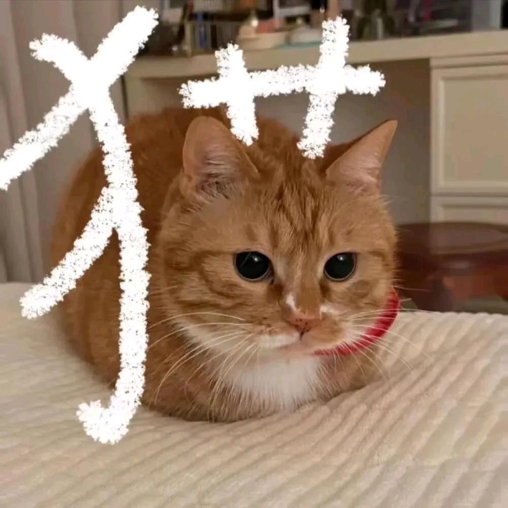 碎玉投珠.