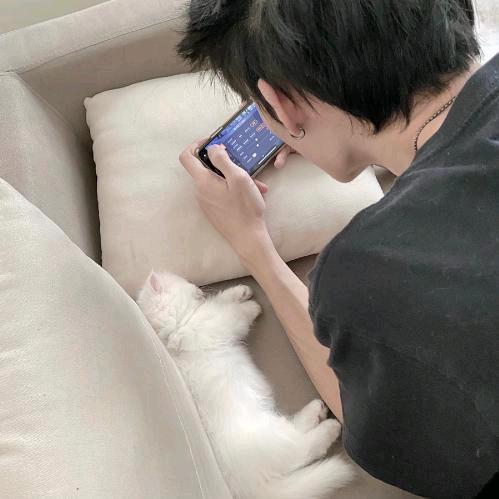 可乐加啤酒