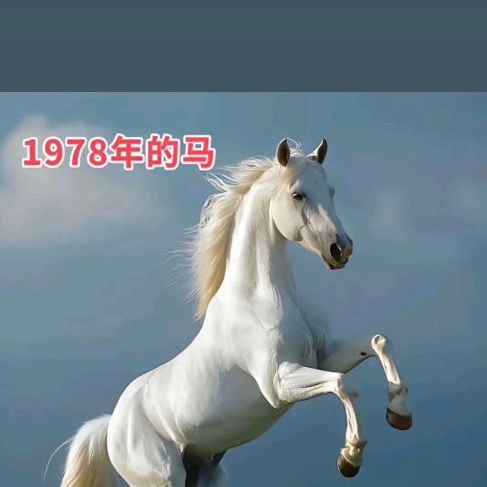 不再沉默🐎🐎