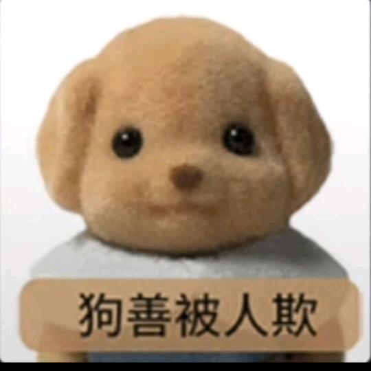 狗妹
