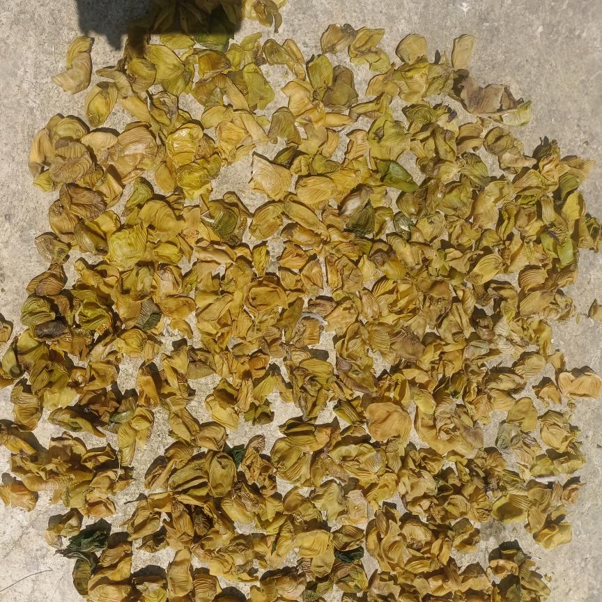 满地黄金。一心求财